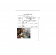 江阴市新艺彩印包装有限公司